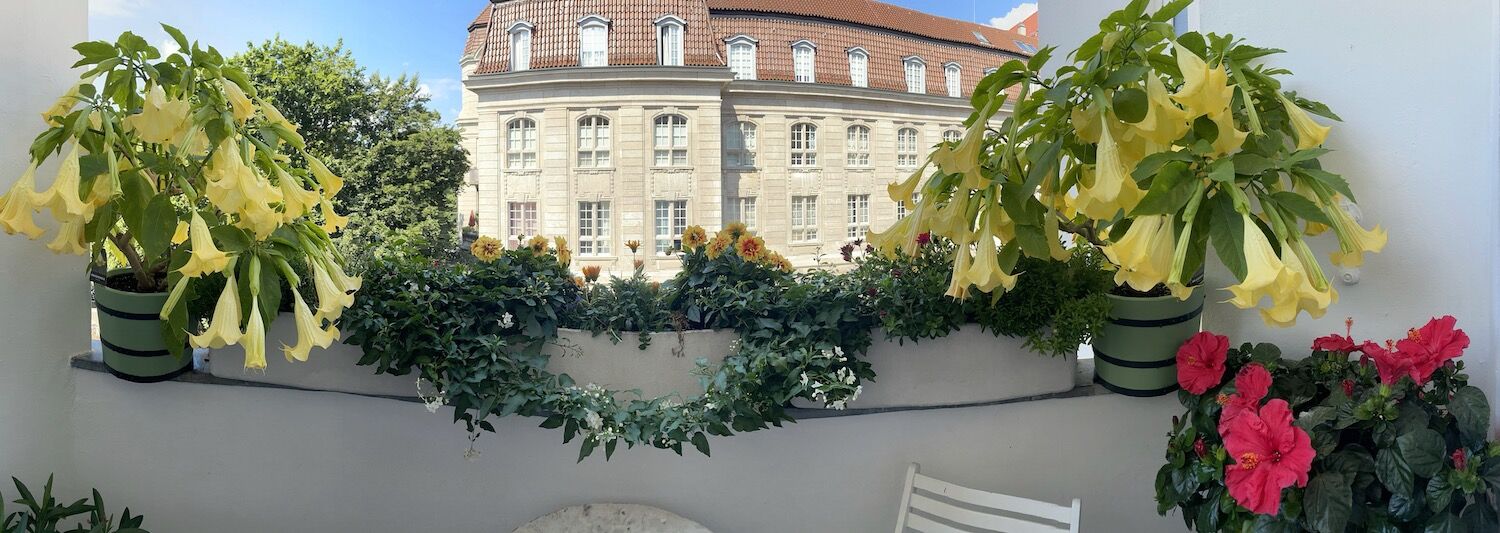 Berlin: Orangeriekübel SANS, SOUCI