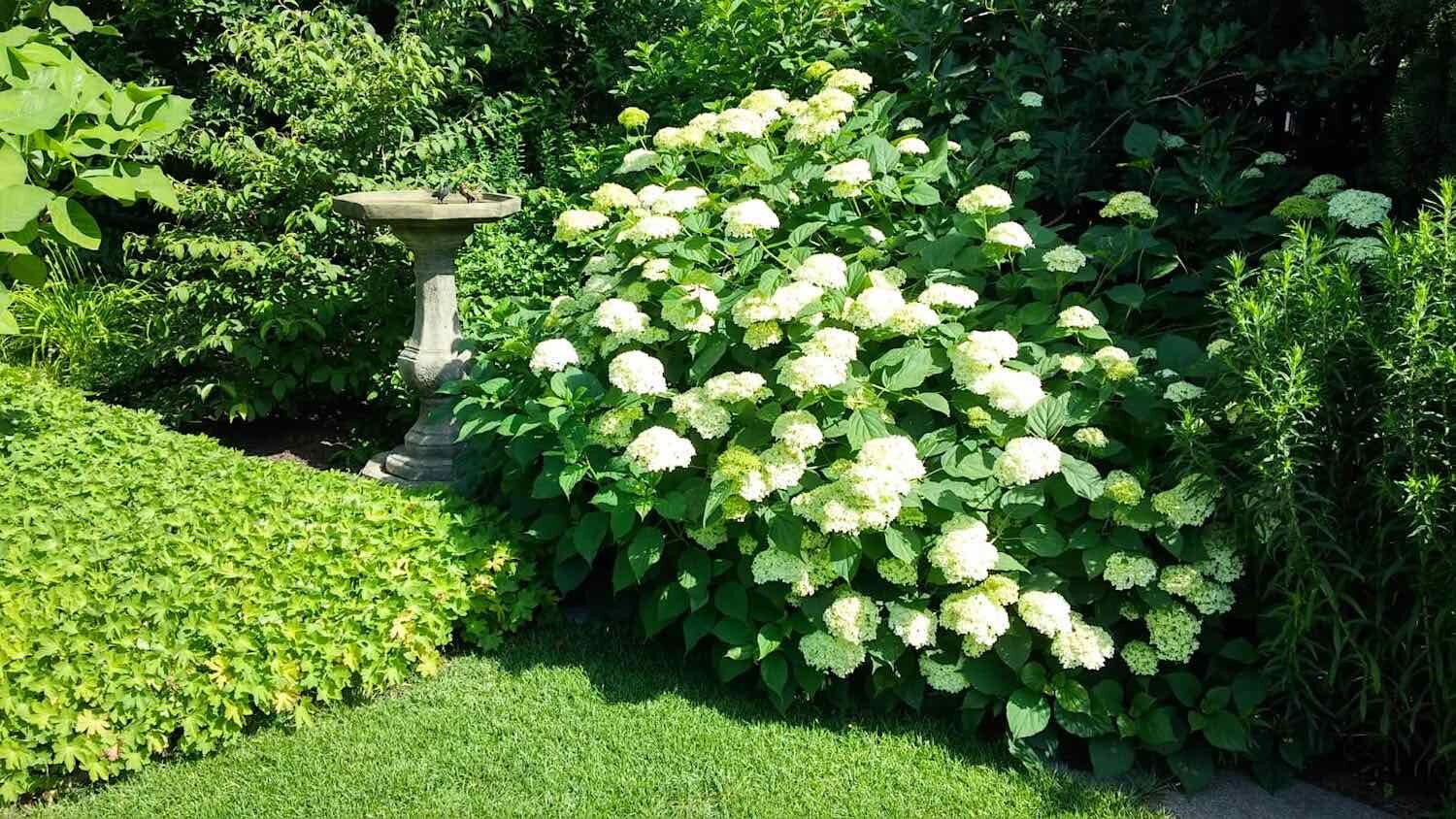 Wittstock/Dosse: Wasserbecken als große Vogeltränke aus patiniertem Steinguss Wittstock/Dosse: Wasserbecken als große Vogeltränke aus patiniertem Steinguss