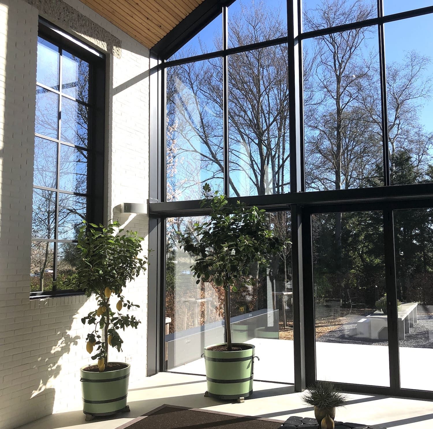 bei Utrecht, Niederlande: Orangeriekübel Sans, Souci