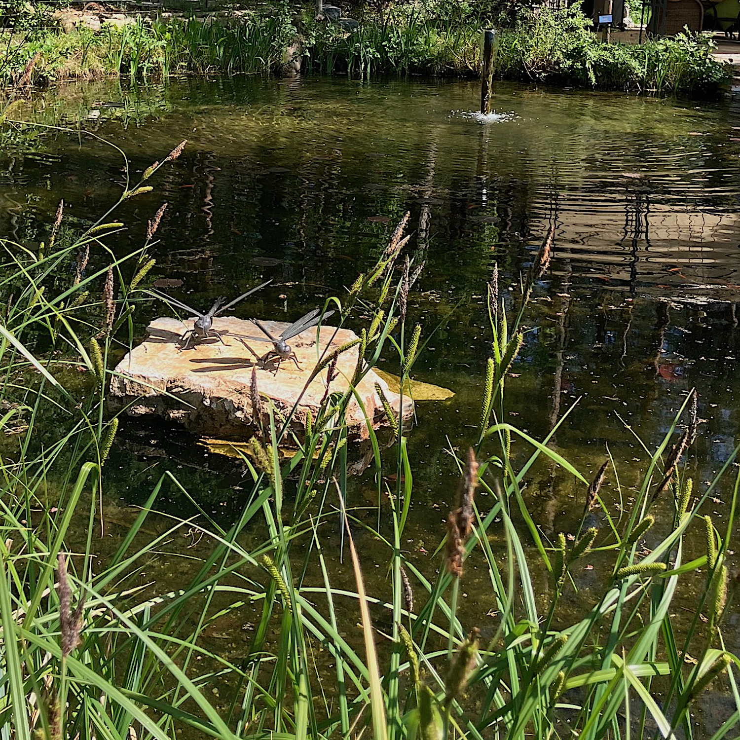 Schwarzheide: Bronzefiguren Libelle 30 + 40 cm