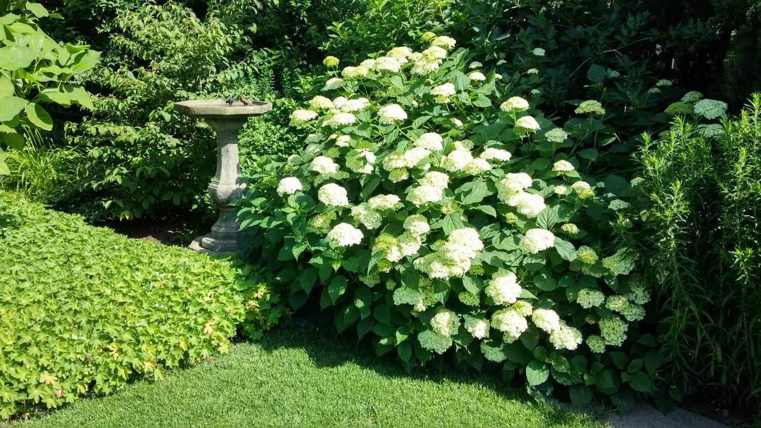 Prignitz: Vogeltränke aus Steinguss (nicht mehr im Sortiment) Prignitz: Vogeltränke aus Steinguss (nicht mehr im Sortiment)