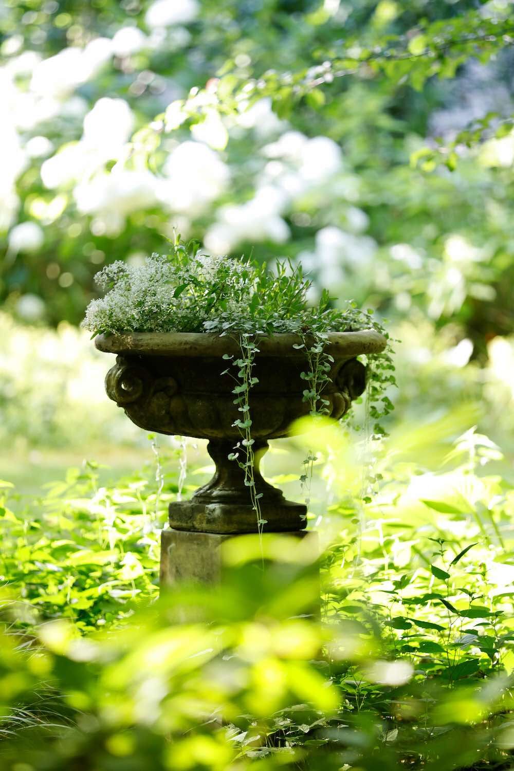 Potsdam: Steinschale EDWARD  in verwunschenem Garten Potsdam: Steinschale EDWARD  in verwunschenem Garten
