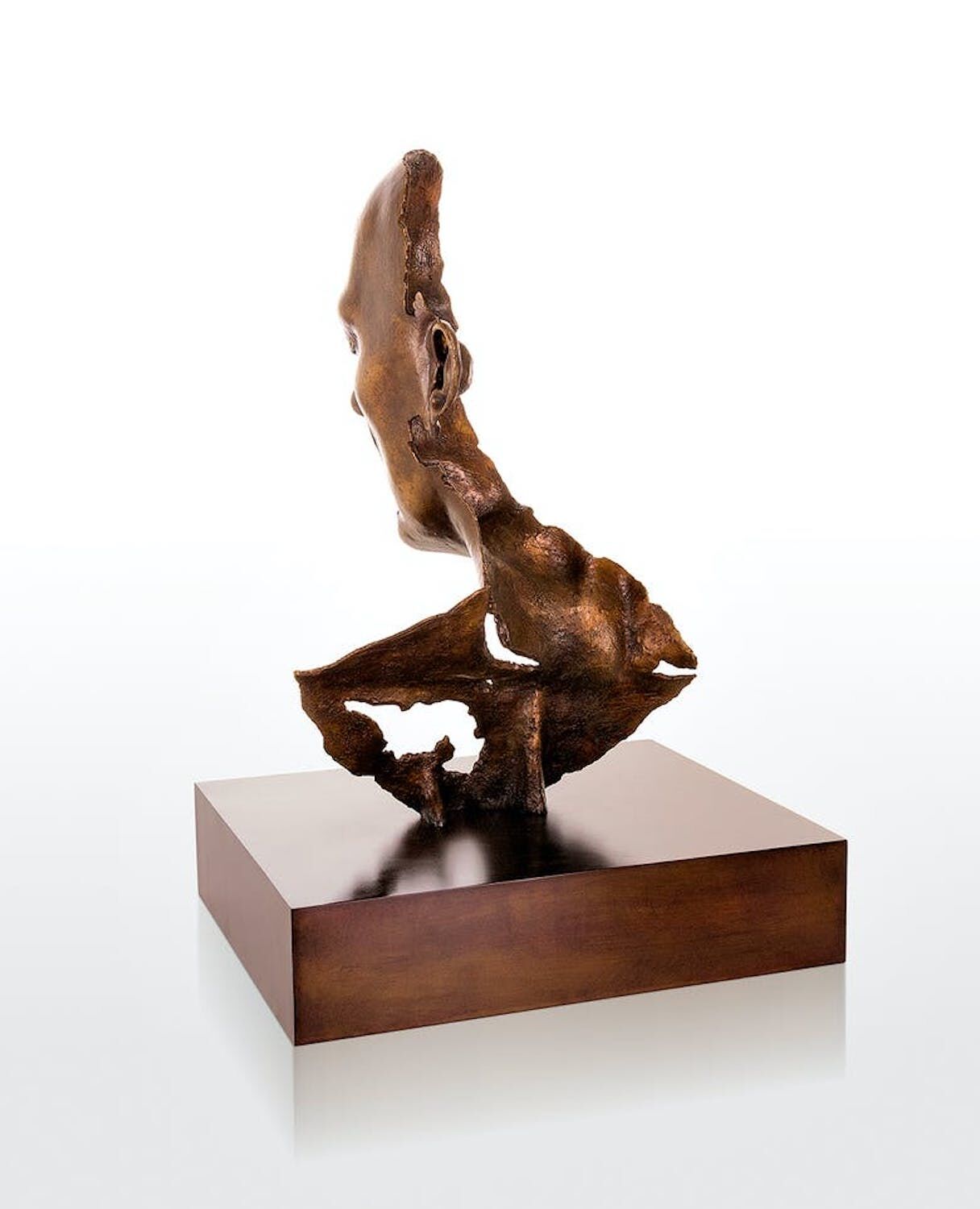 Bronzebüste FRAGMENT II  (von Jamie Salmon)