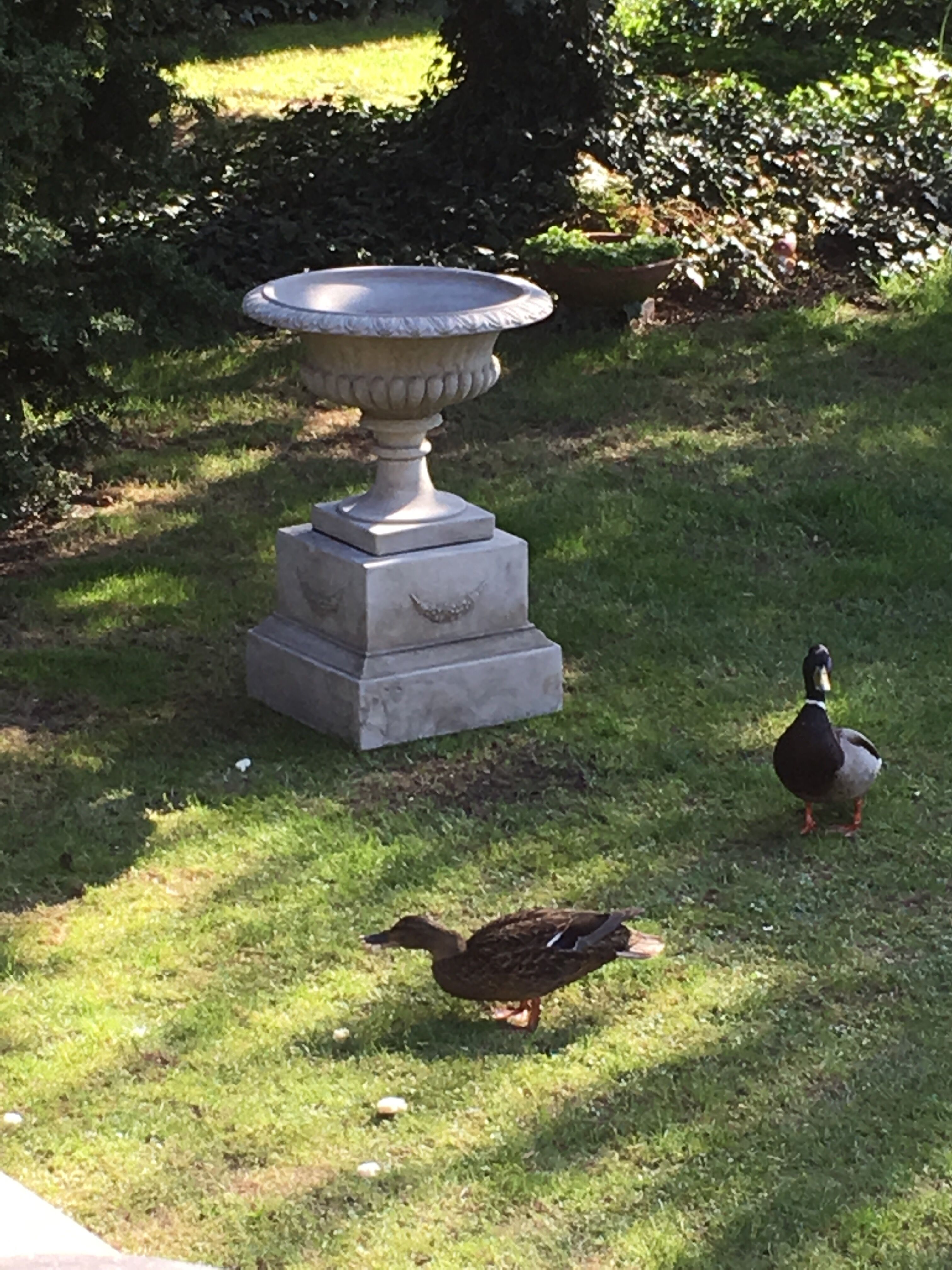 Heidesee/Brandenburg: Pflanzgefäß EXETER auf Podest  Heidesee/Brandenburg: Pflanzgefäß EXETER auf Podest