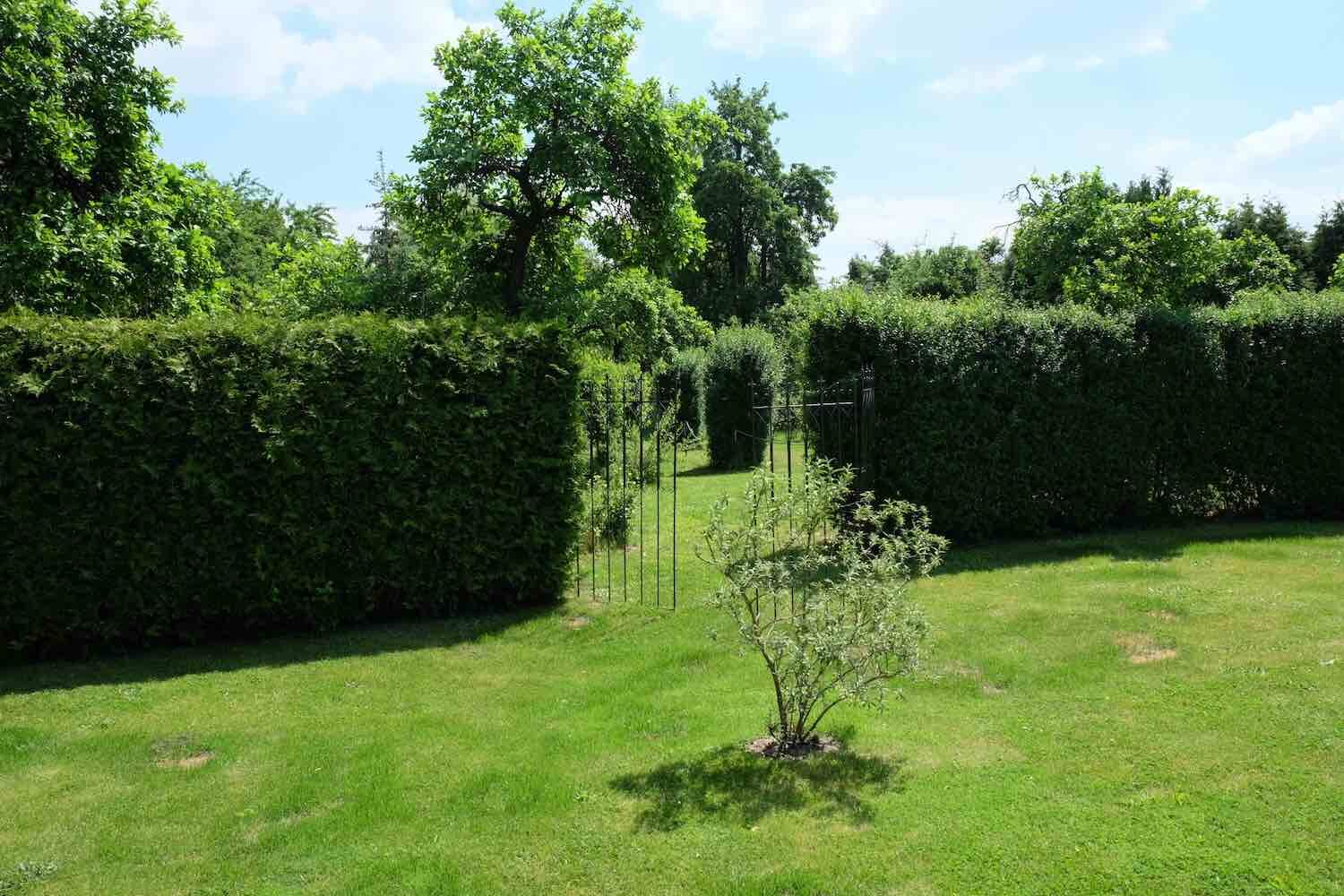 Werder/Havel: Rankgitter zur Strukturierung des Gartens Werder/Havel: Rankgitter zur Strukturierung des Gartens