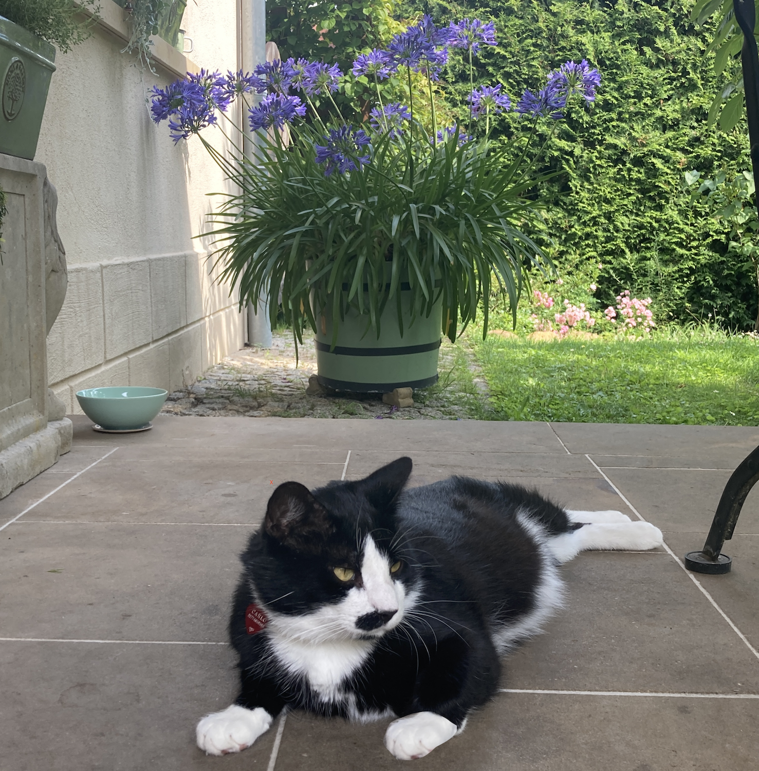 Kundenfoto Schwielowsee, Orangeriekübel Sans,Souci