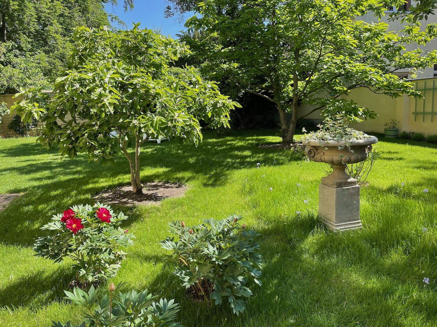 Potsdam: Vase EDWARD auf Podest HENRY Potsdam: Vase EDWARD auf Podest HENRY