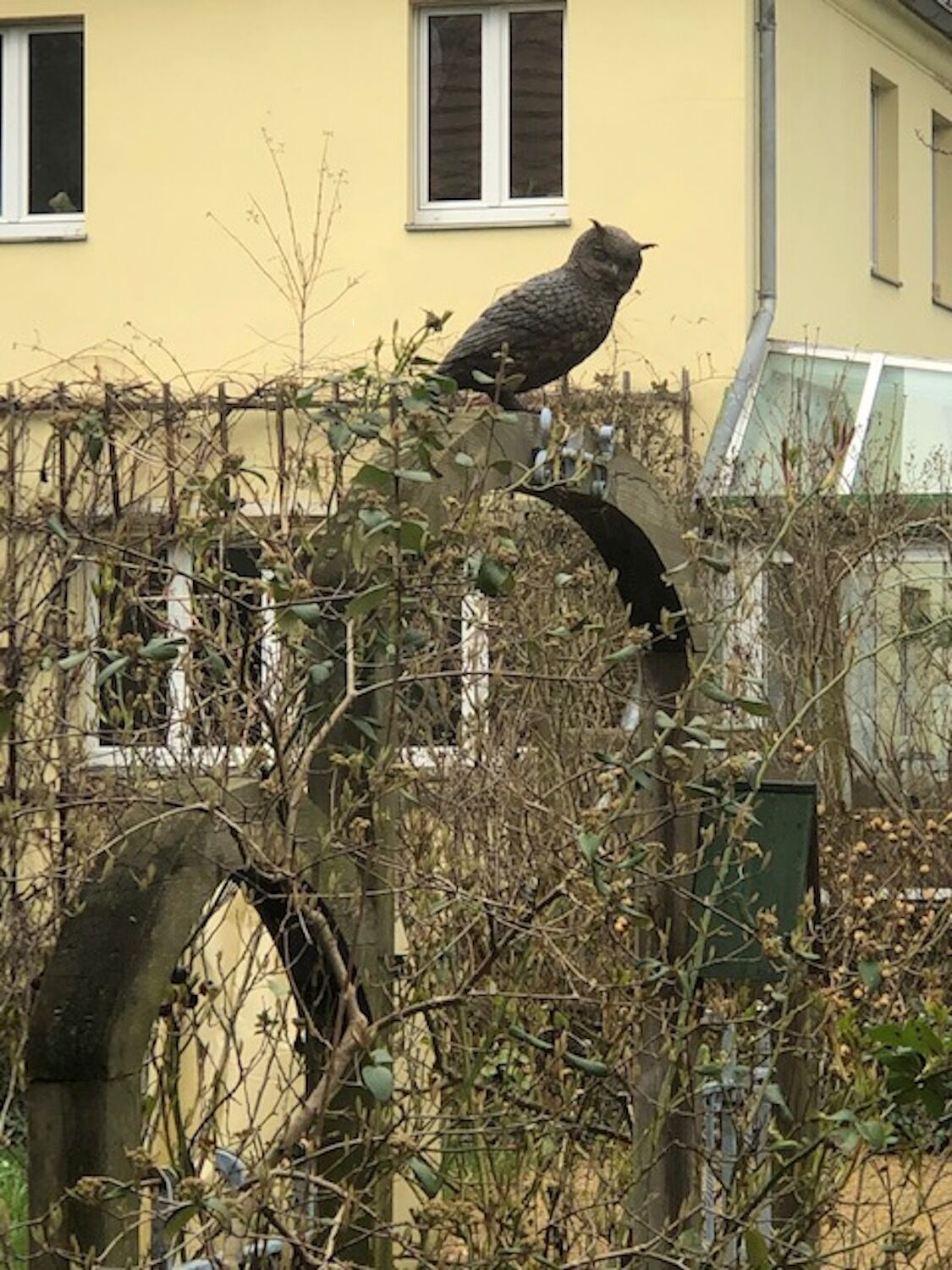 Potsdam: Bronzefigur Eule NOCTUS auf einem Steintor Potsdam: Bronzefigur Eule NOCTUS auf einem Steintor