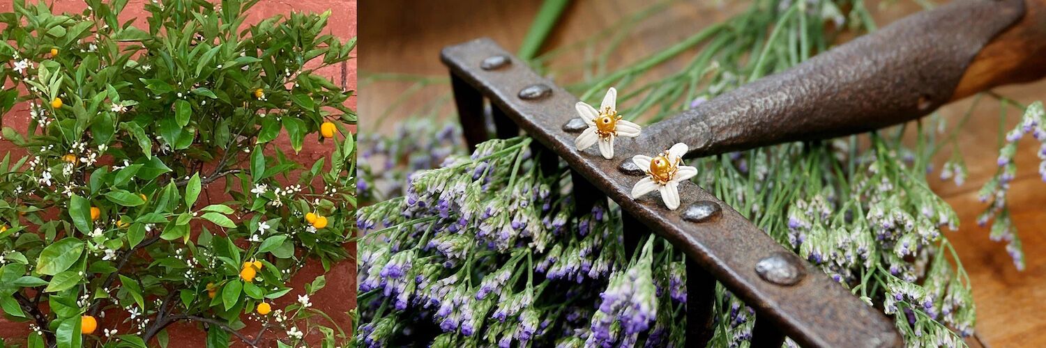 Bronzeschmuck ORANGEBLÜTEN Ohrhänger Paar