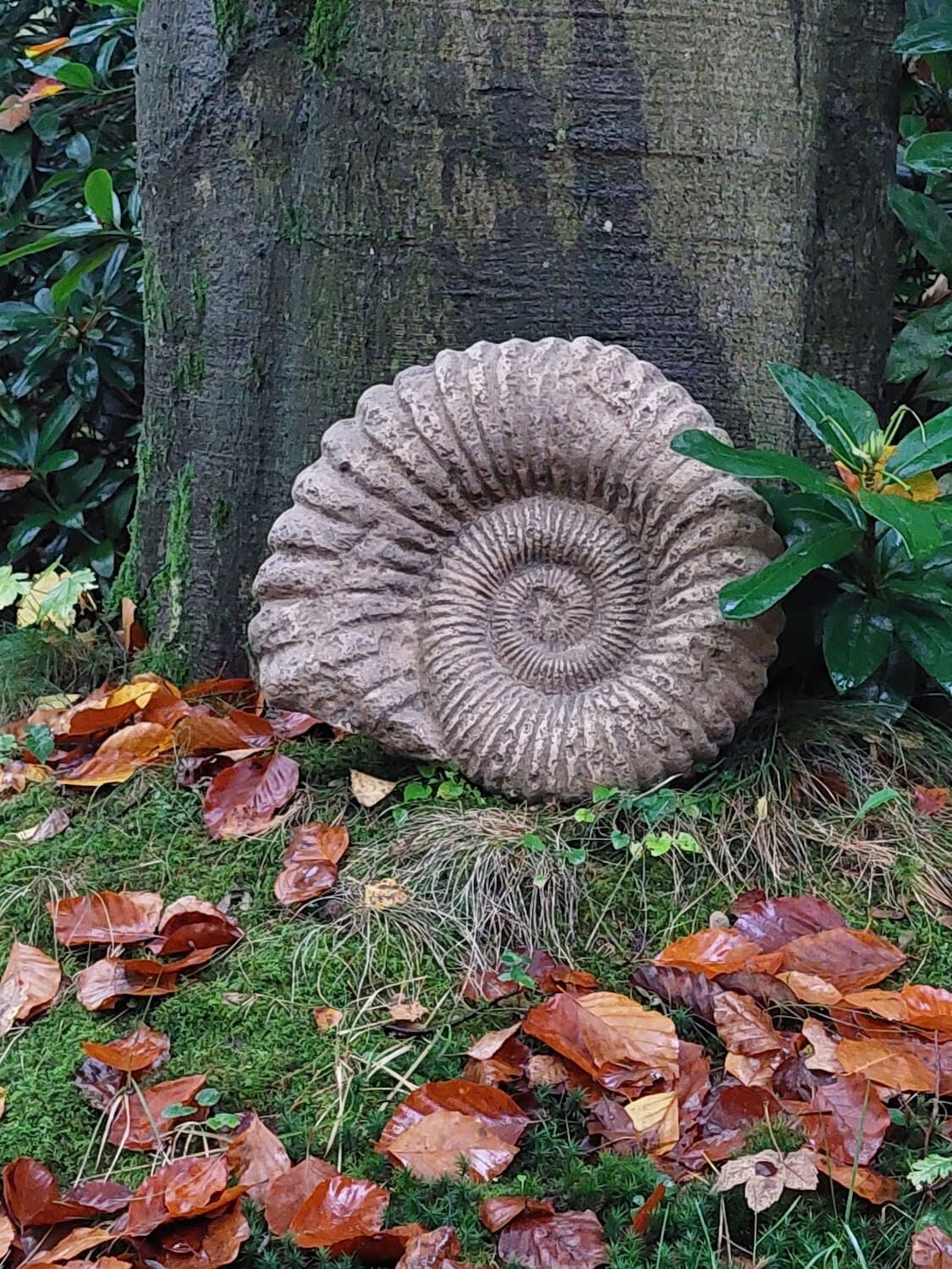 Bienenbüttel: Ammonit aus Sandsteinguss