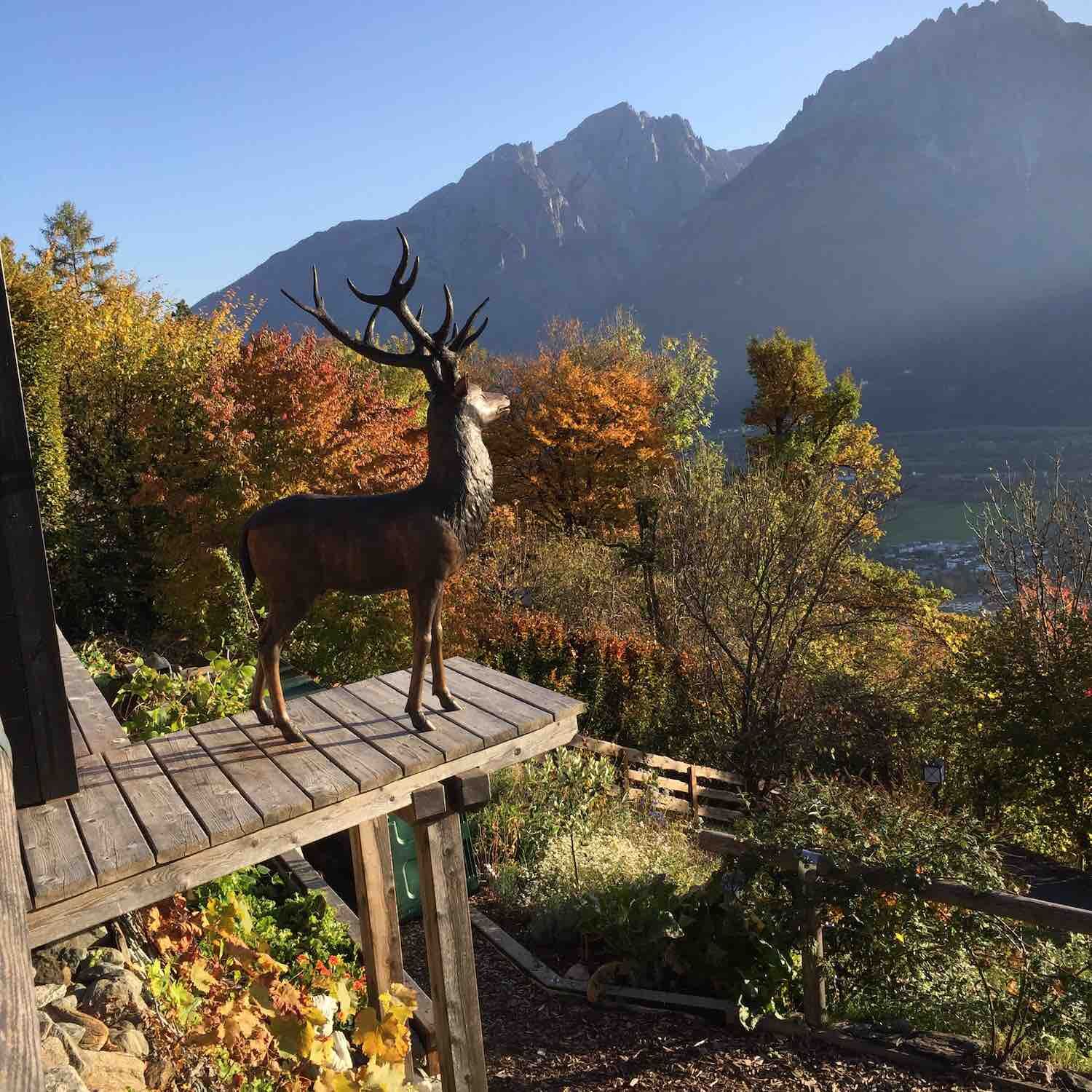 Tirol, Österreich: Bronzehirsch ORSON Tirol, Österreich: Bronzehirsch ORSON