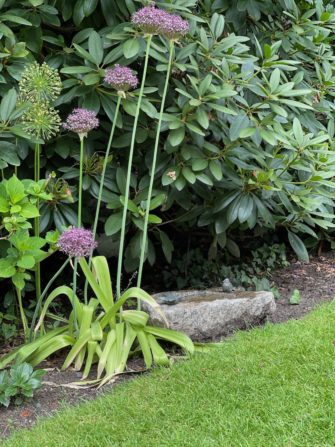 Michendorf: Vogeltränke aus Granit mit zwei Bronzevögeln Michendorf: Vogeltränke aus Granit mit zwei Bronzevögeln.