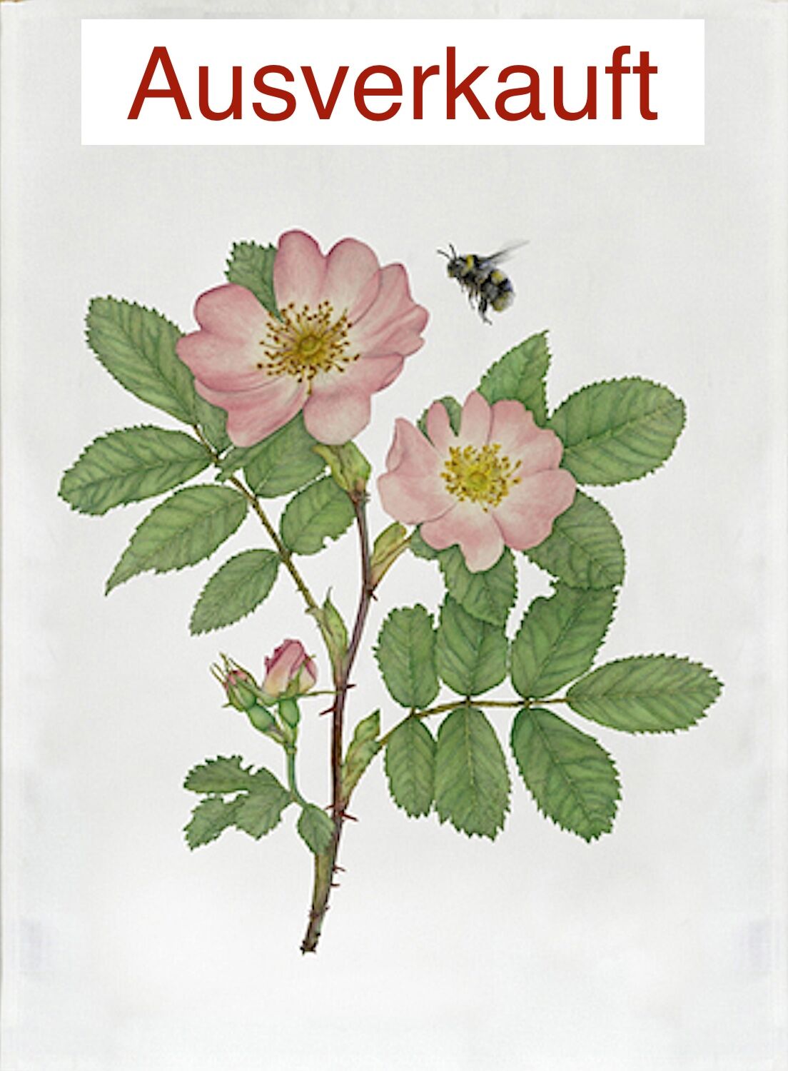 LEINENHANDTUCH WILDROSE Heckenrose, 47 x 60 cm, Emma Sjödin Design