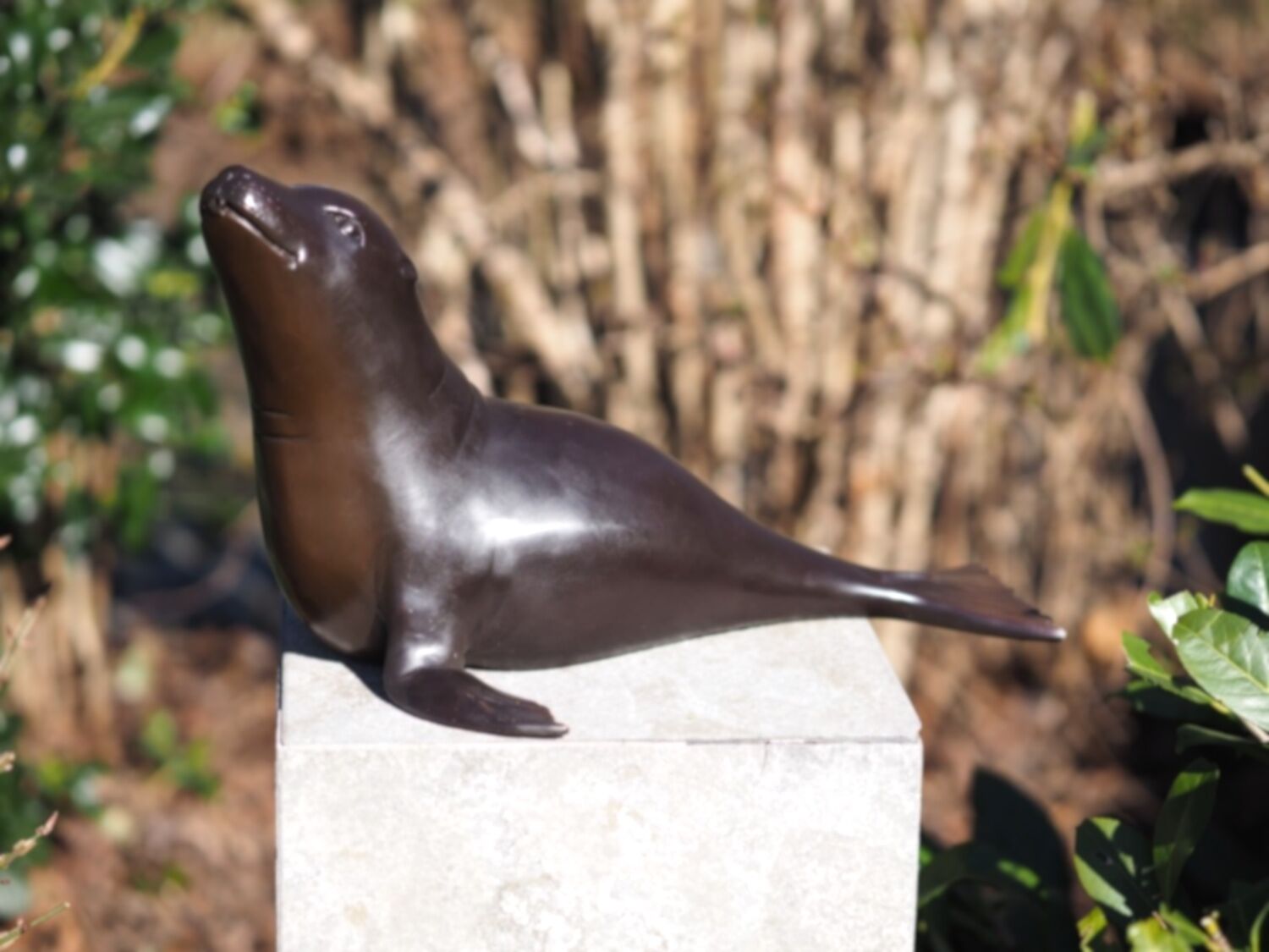 Bronzewasserspeier Robbe Seelöwe Seehund RUBEN, 43 cm