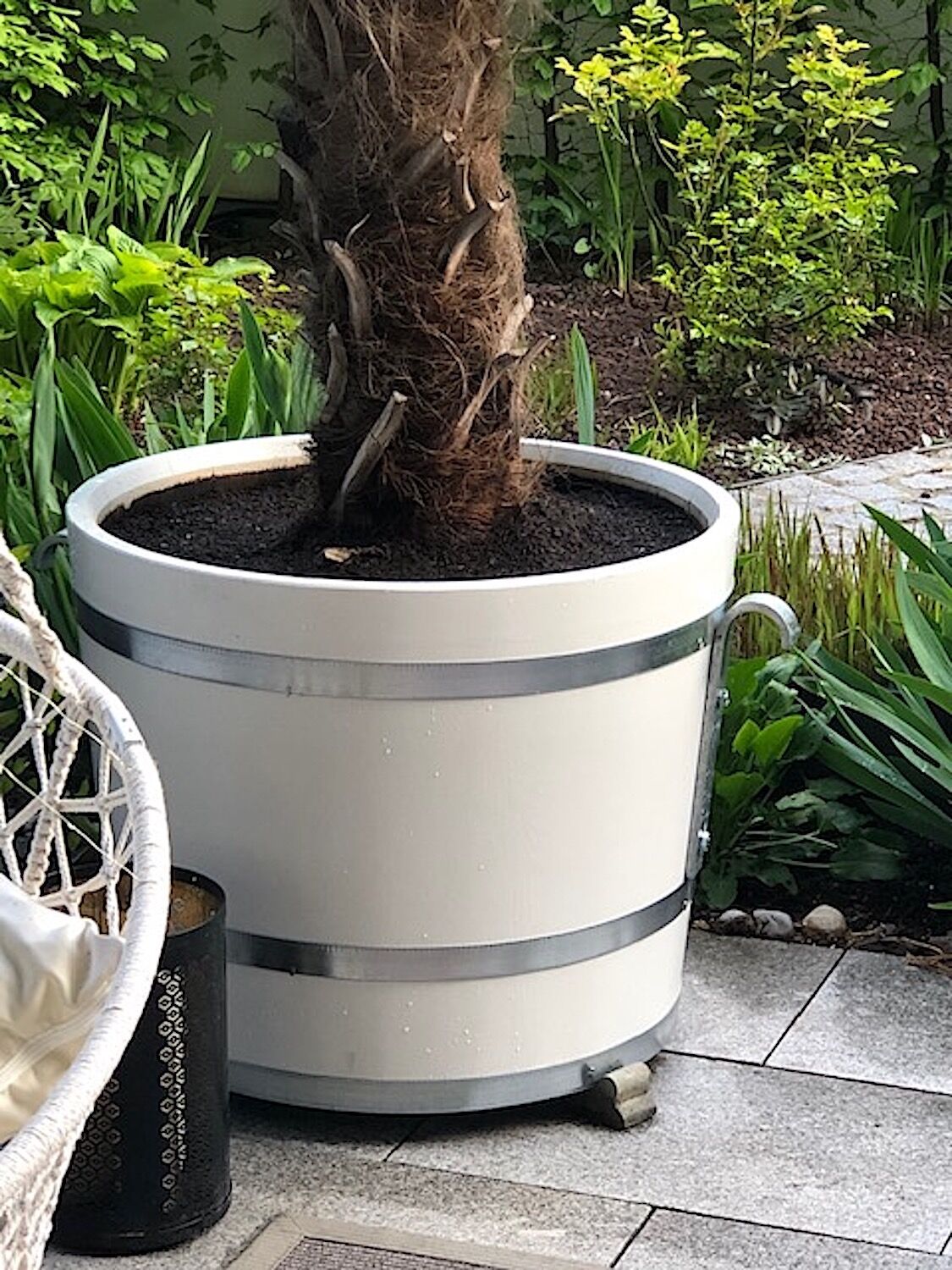 München: Reinweißer Orangeriekübel mit unbehandelten, feuerverzinkten Haken und Reifen München: Reinweißer Orangeriekübel mit unbehandelten, feuerverzinkten Haken und Reifen