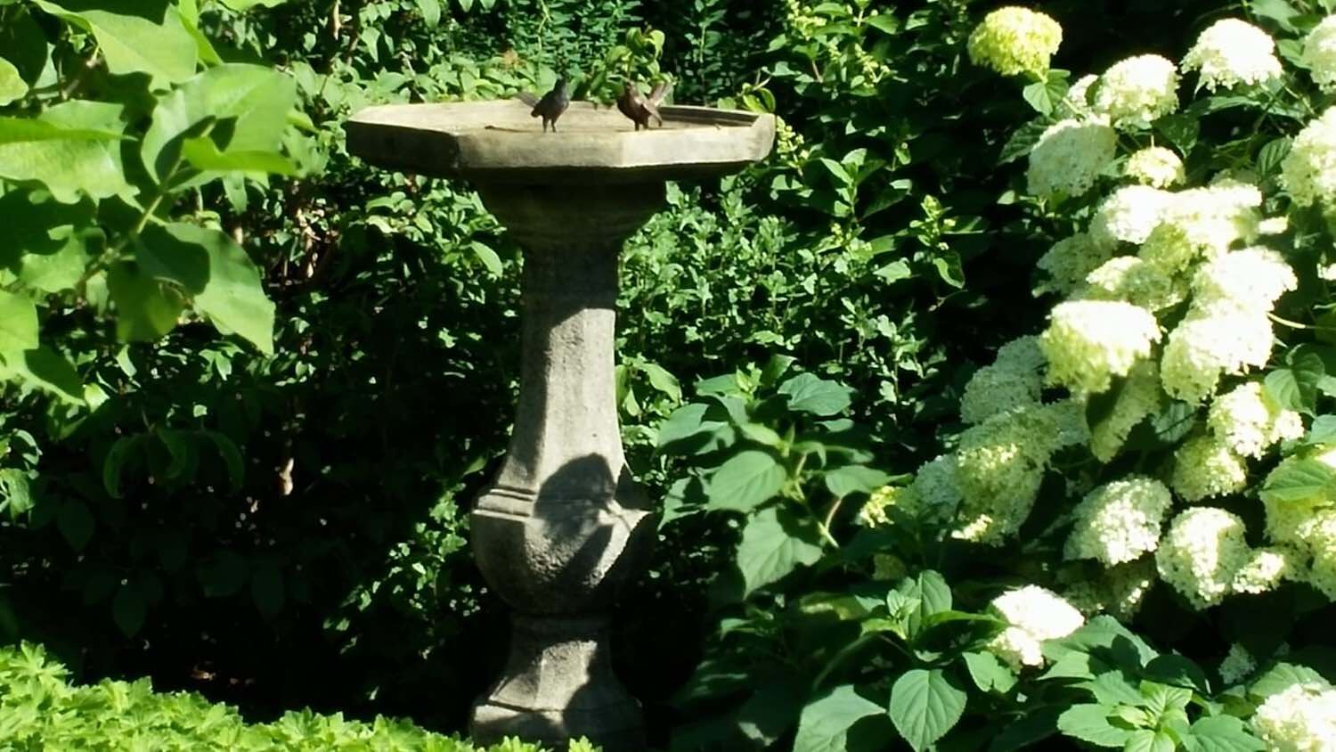 Prignitz: Vogeltränke aus Steinguss (nicht mehr im Sortiment) Prignitz: Vogeltränke aus Steinguss (nicht mehr im Sortiment)