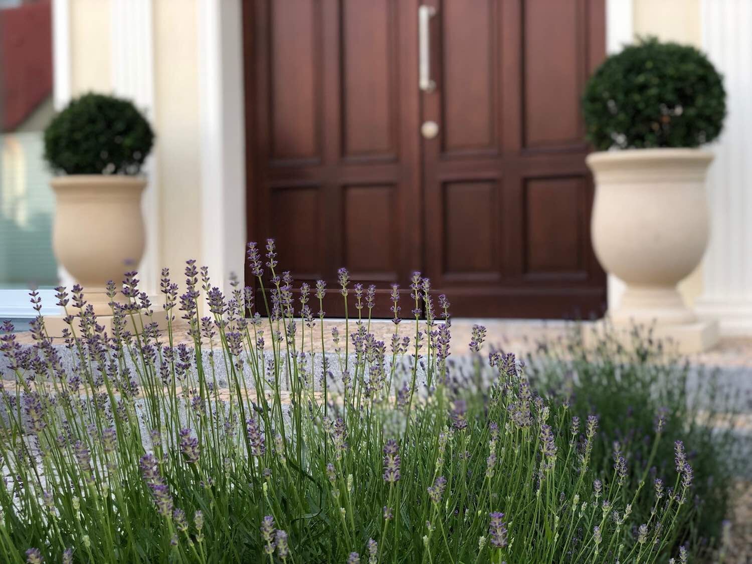 Potsdam: Pflanzgefäße POMONA Potsdam: Pflanzgefäße POMONA