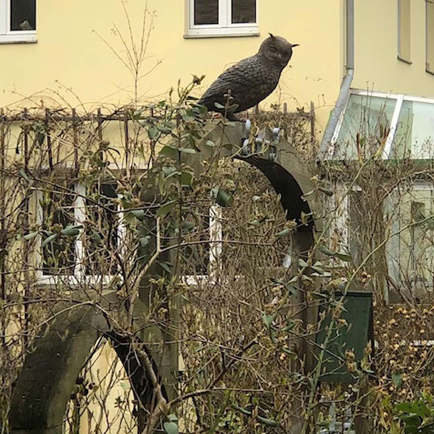Bronzefigur Vogel Eule NOCTUS