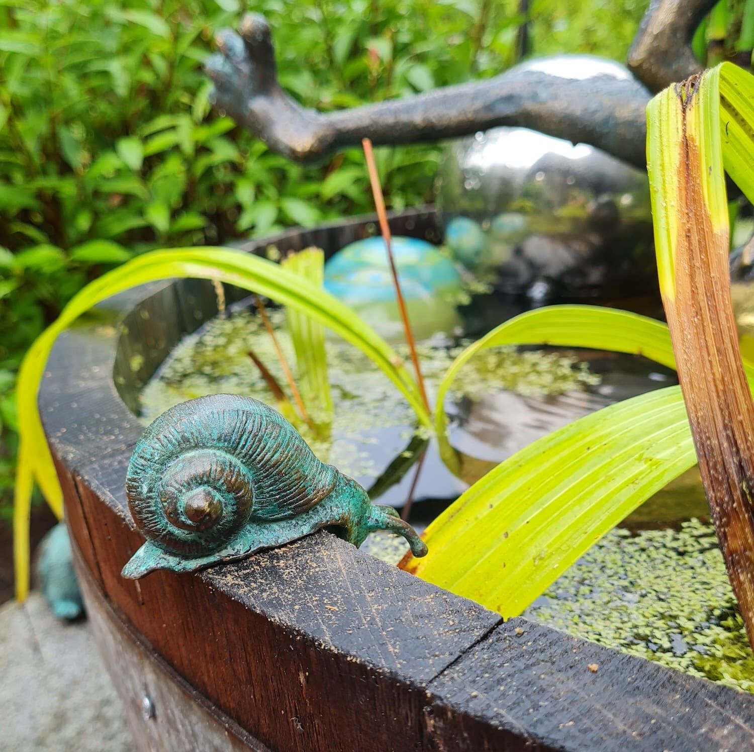 Lüneburg: Bronzeschnecke SCHNECK