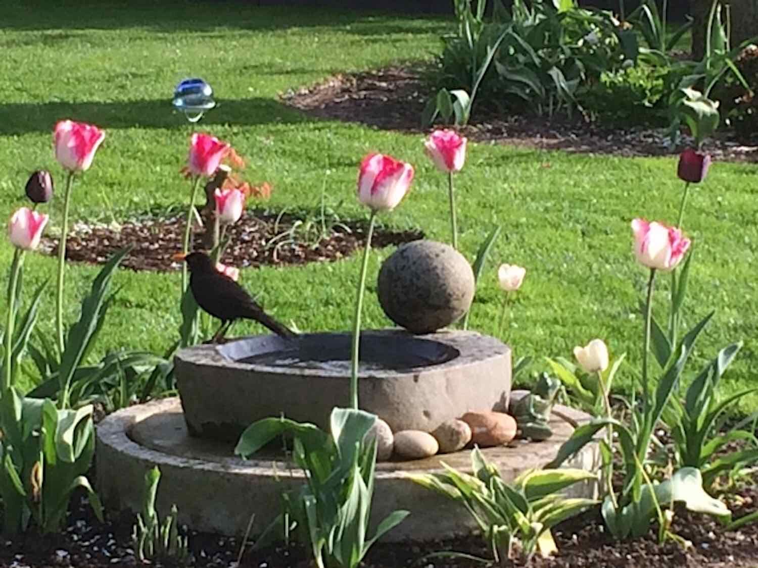 Potsdam: Flusssteinschale mit Gartenkugel aus Basanit.  Potsdam: Flusssteinschale mit Gartenkugel aus Basanit.