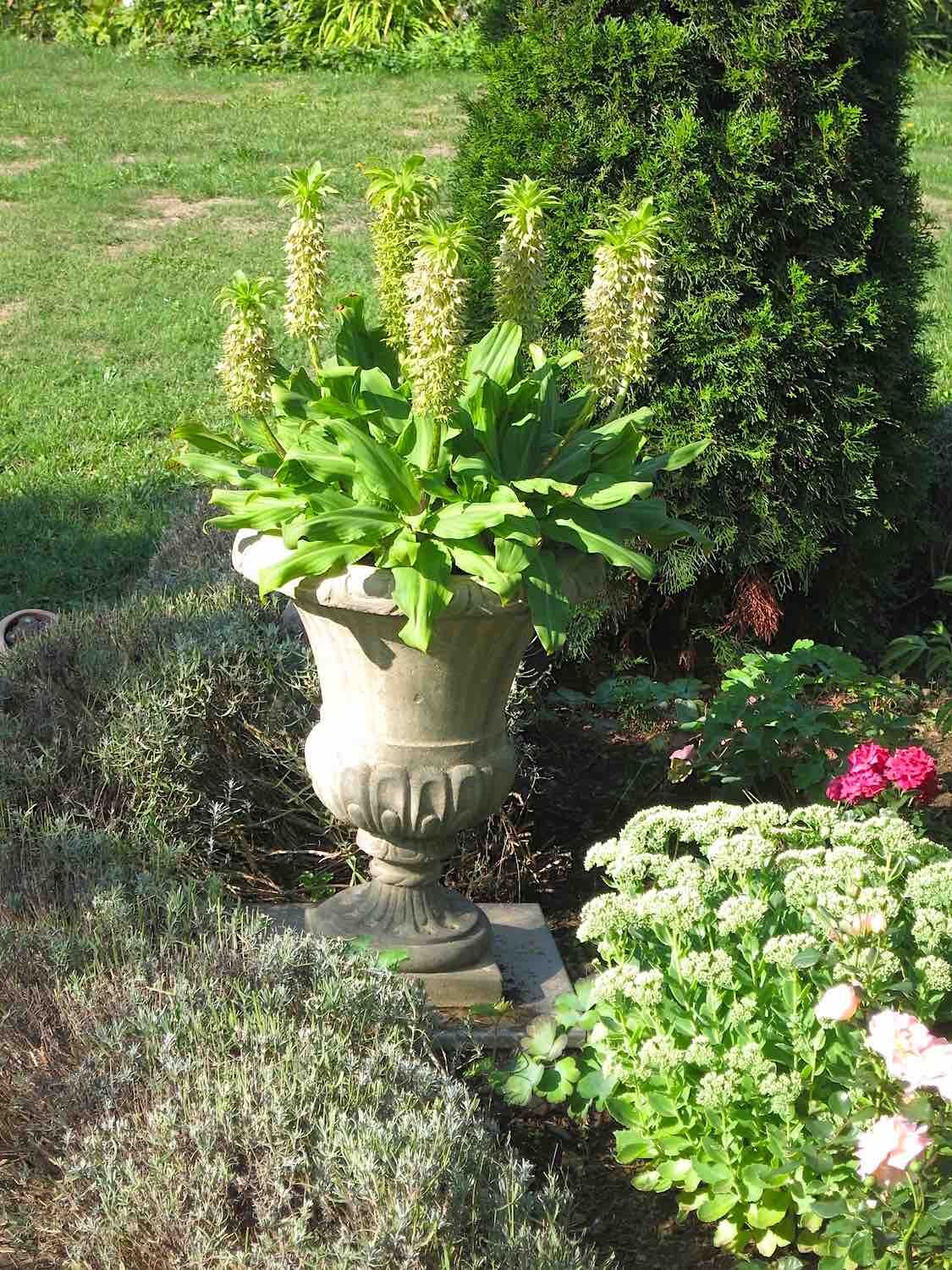 Plauen: Steinvase TOSCA in üppigem Garten Plauen: Steinvase TOSCA in üppigem Garten
