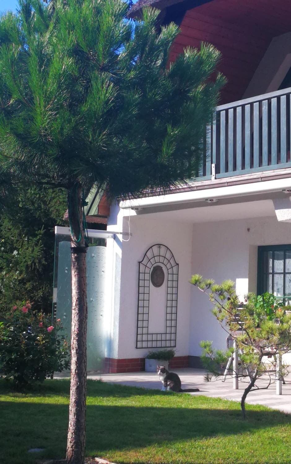 Ostsee: Rankgitter CAMINO Ostsee: Rankgitter CAMINO