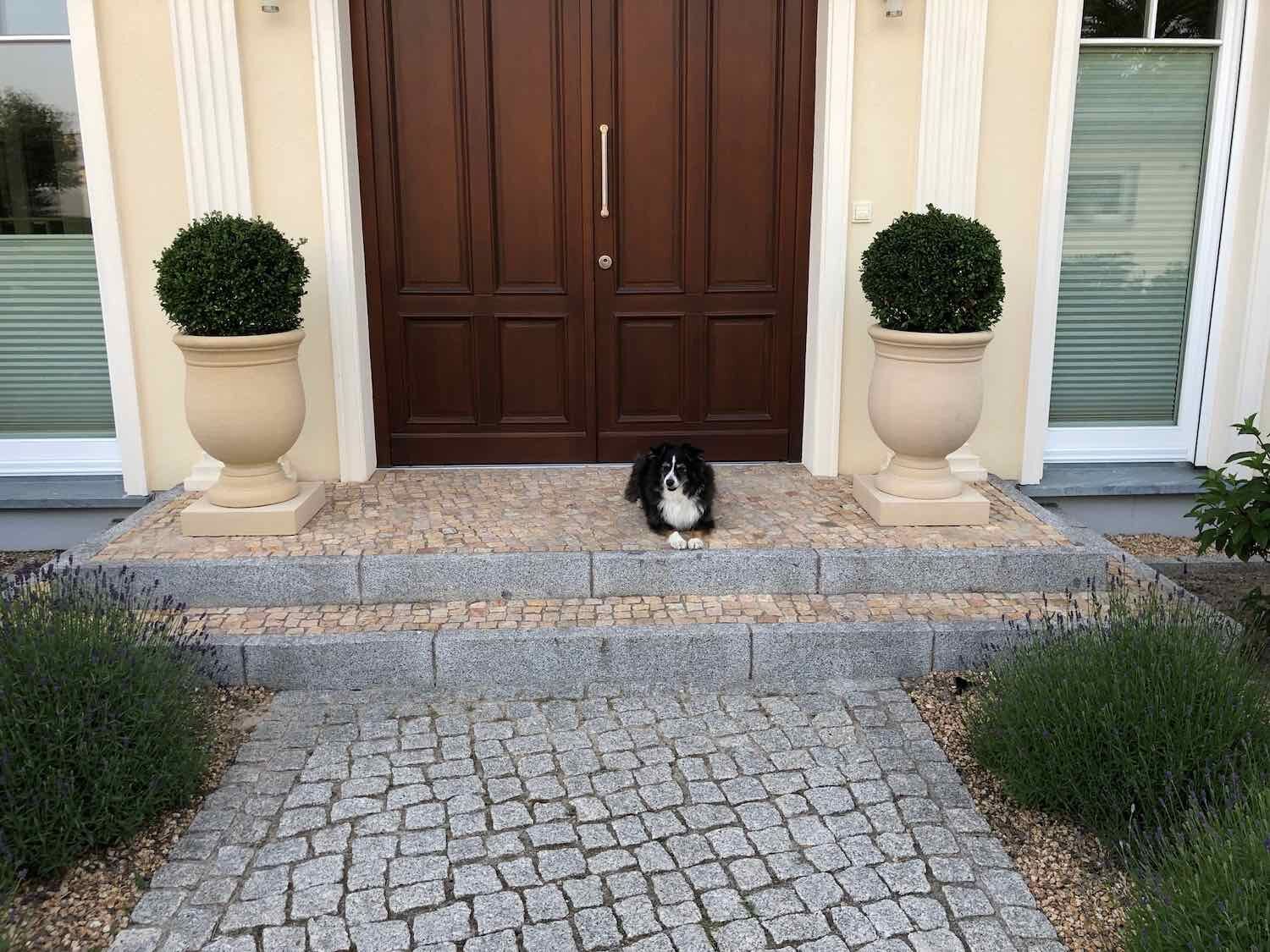 Potsdam: Pflanzgefäße POMONA Potsdam: Pflanzgefäße POMONA