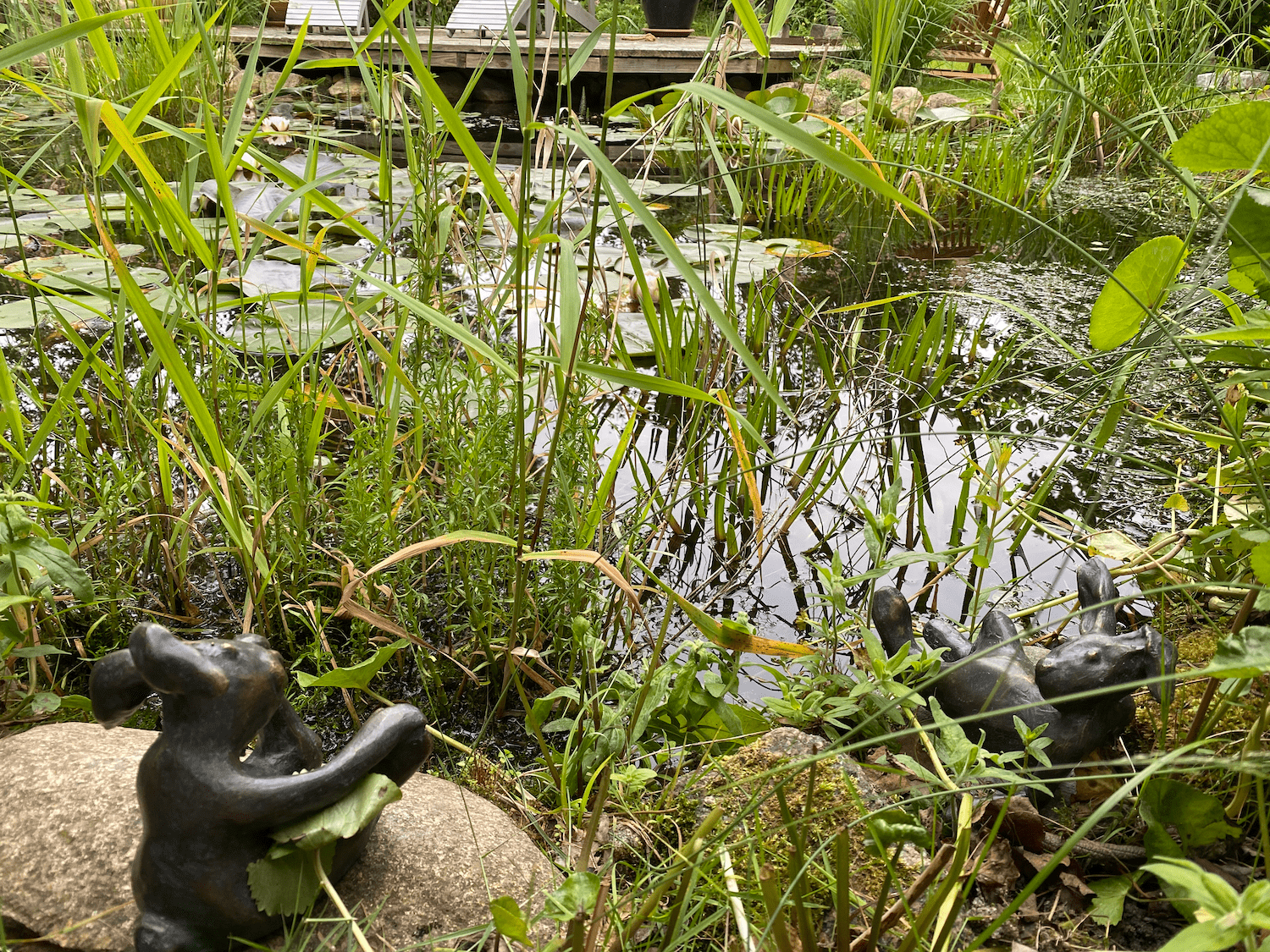 Uelzen: Hasen Meinard und Maddox