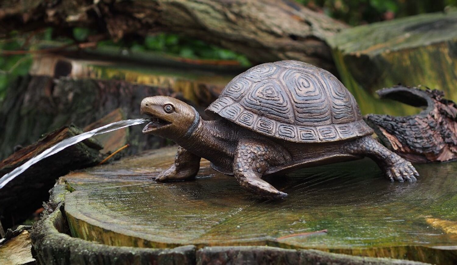 Bronzewasserspeier Schildkröte DAISY
