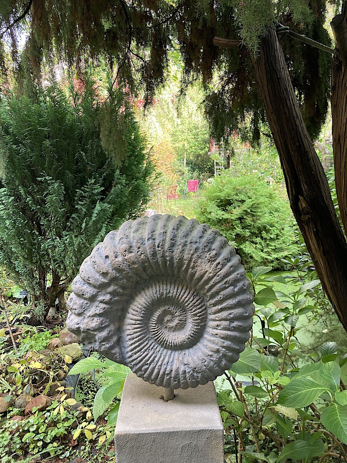 Potsdam, Winzerhof Ferienwohnungen: Steinfigur AMMONIT auf Stele