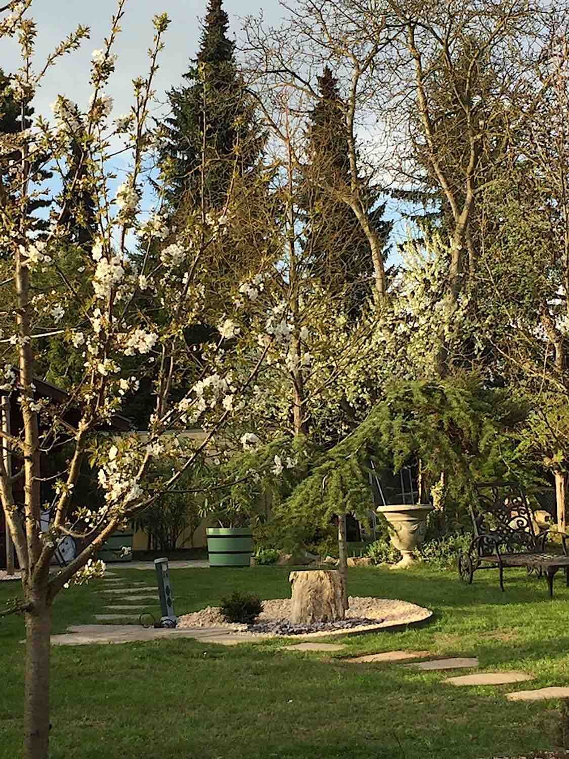 Mühlhausen/Thüringen: Pflanzkübel SANS, SOUCI, diverse große Steinvasen. Mühlhausen/Thüringen: Pflanzkübel SANS, SOUCI, diverse große Steinvasen.